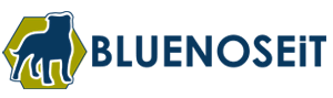 BlueNoseiT logo
